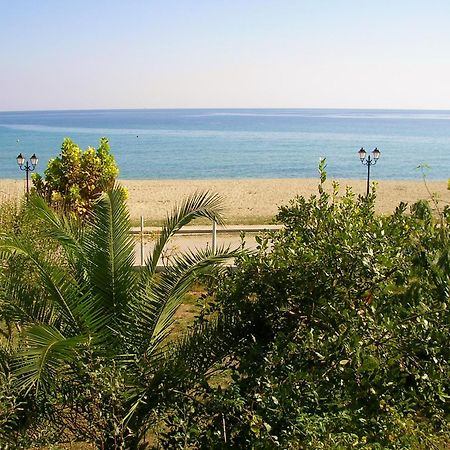 Paralía Skotínis Apartments Ziogas מראה חיצוני תמונה