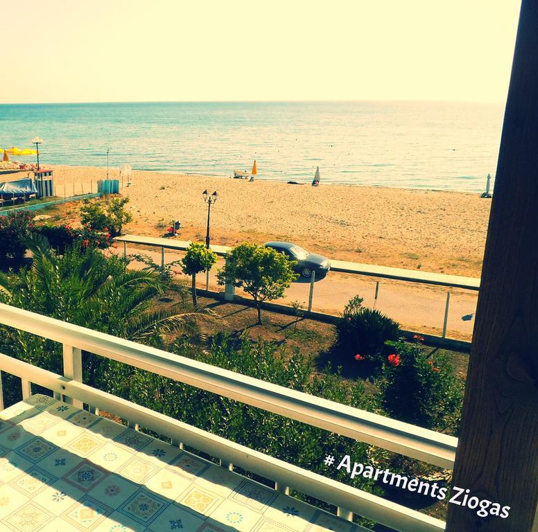 Paralía Skotínis Apartments Ziogas מראה חיצוני תמונה