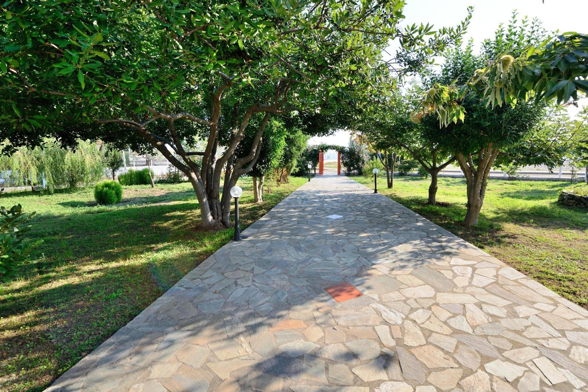 Paralía Skotínis Apartments Ziogas מראה חיצוני תמונה
