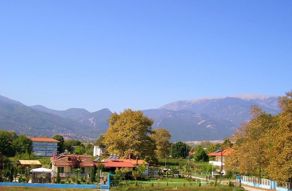 Paralía Skotínis Apartments Ziogas חדר תמונה